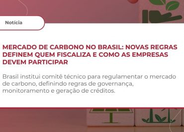 MERCADO DE CARBONO – INSTITUIÇÃO DO COMITÊ TÉCNICO CONSULTIVO PERMANENTE (CTCP) – LEI Nº 15.042/2024
