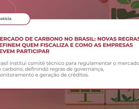 MERCADO DE CARBONO – INSTITUIÇÃO DO COMITÊ TÉCNICO CONSULTIVO PERMANENTE (CTCP) – LEI Nº 15.042/2024